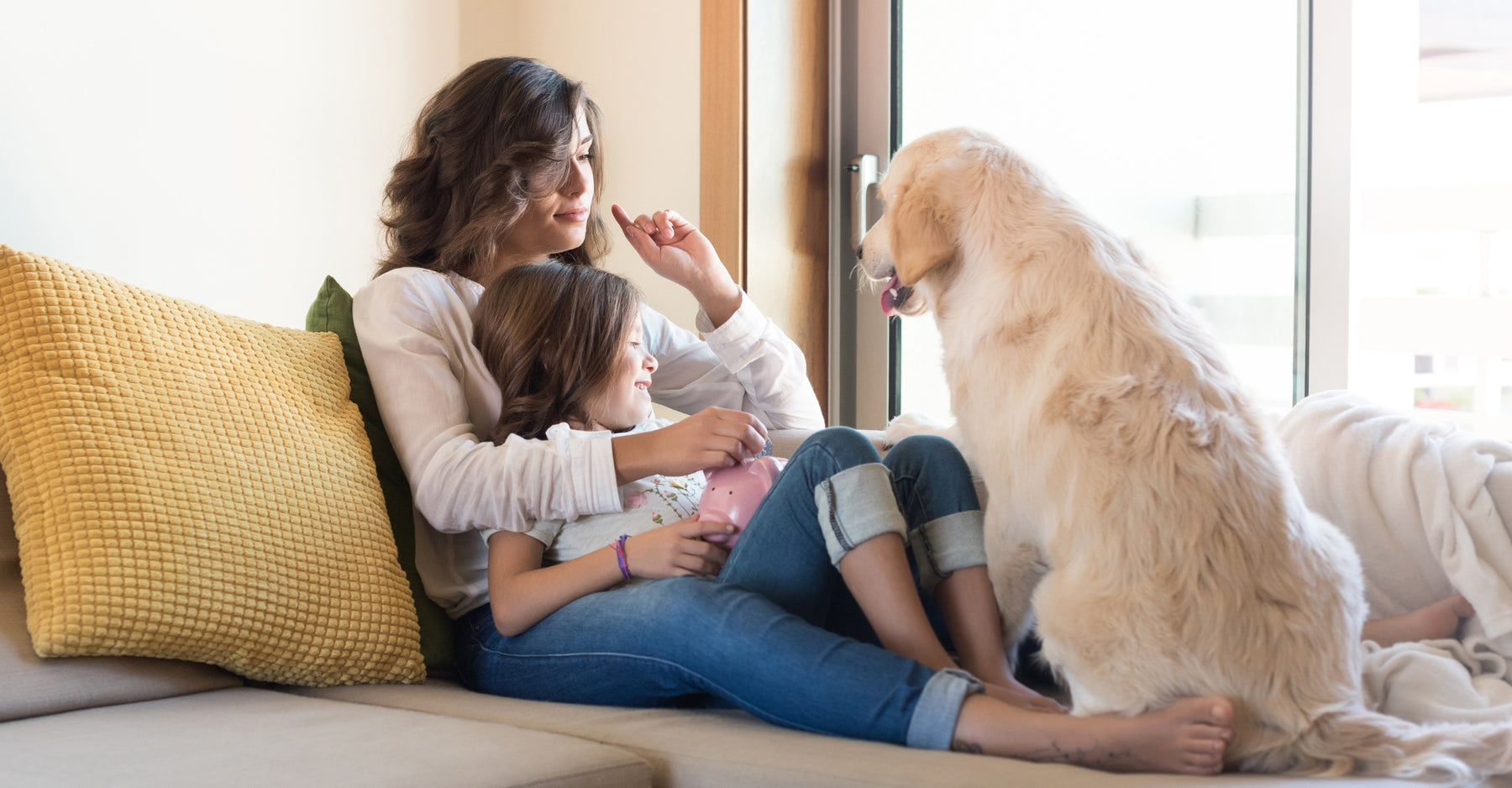 Choosing the Perfect Sofa: A Comprehensive Guide