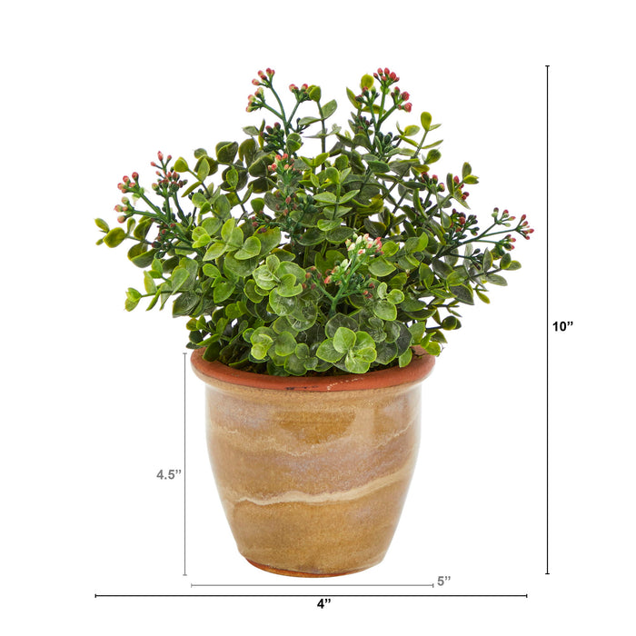 10" Eucalyptus and Sedum Artificial Plant in Ceramic Planter
