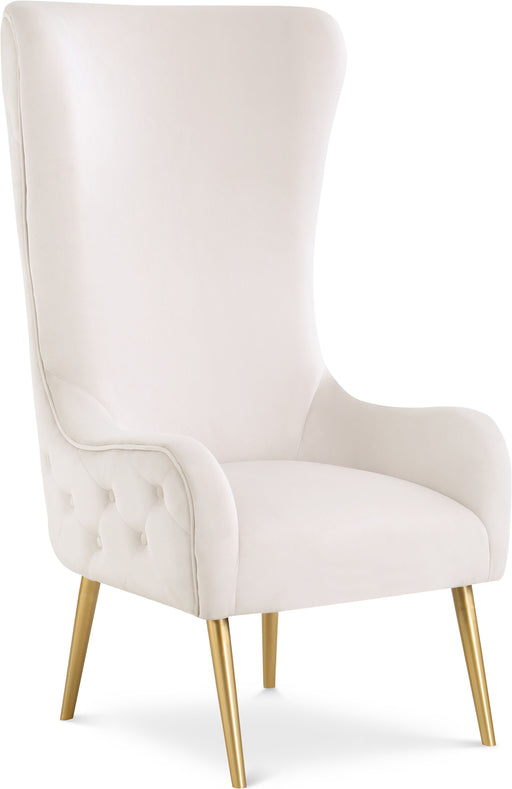 Alexander - Accent Chair - Simple Home Plus