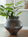 Laddlow - Vase - Antique Brown - Simple Home Plus