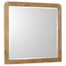 Robyn - Dresser Mirror - Simple Home Plus