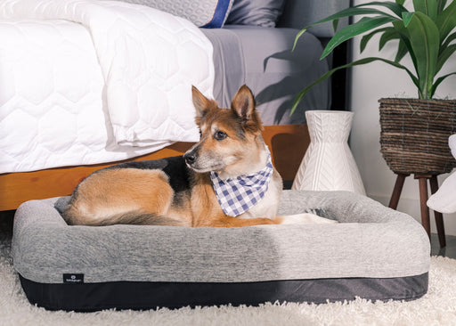 Performance - Small Dog Bed - Gray - Simple Home Plus