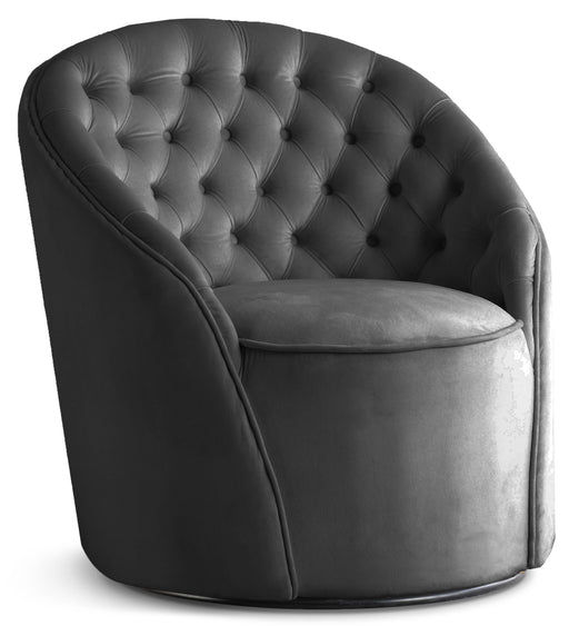 Alessio - Accent Chair - Simple Home Plus