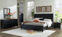 Danziar - Panel Bedroom Set - Simple Home Plus
