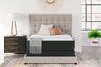 Limited Edition Firm - Mattress - Simple Home Plus