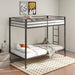 Alevera - Metal Bunk Bed With Ladder - Simple Home Plus