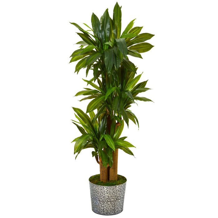 58" Corn Stalk Dracaena Plant in Tin Planter (Real Touch)