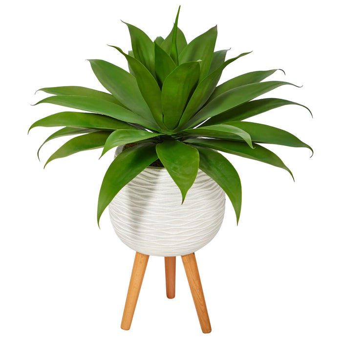33" Agave Succulent Plant in White Planter with Stand