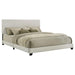 Dorian - Upholstered Panel Bed - Simple Home Plus