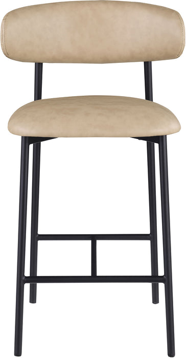 Lupita - Counter Stool (Set of 2) - Simple Home Plus