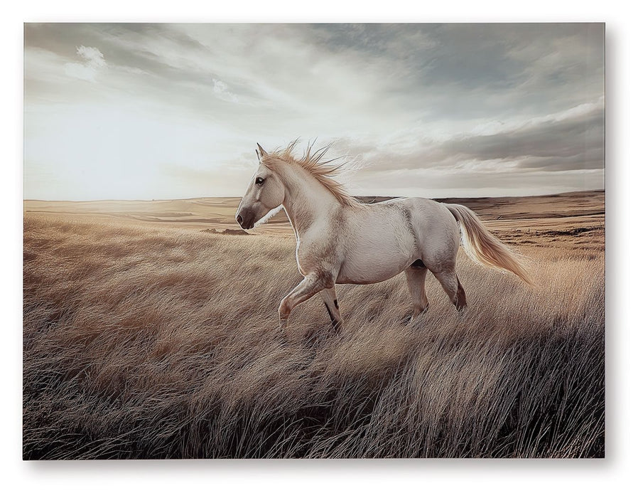 Errolville - Multi - Wall Art - Simple Home Plus