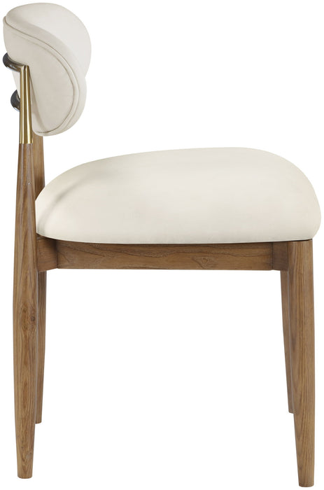 Riccio - Side Chair (Set of 2) - Walnut Frame - Simple Home Plus
