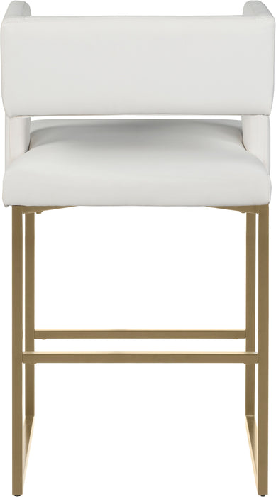 Caleb - Counter Stool with Gold Legs (Set of 2) - Simple Home Plus