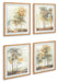 Bryneford - Multi - Wall Art Set (Set of 4) - Simple Home Plus