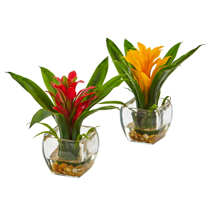 8" Bromeliad with Vase Arrangement (Set of 2)