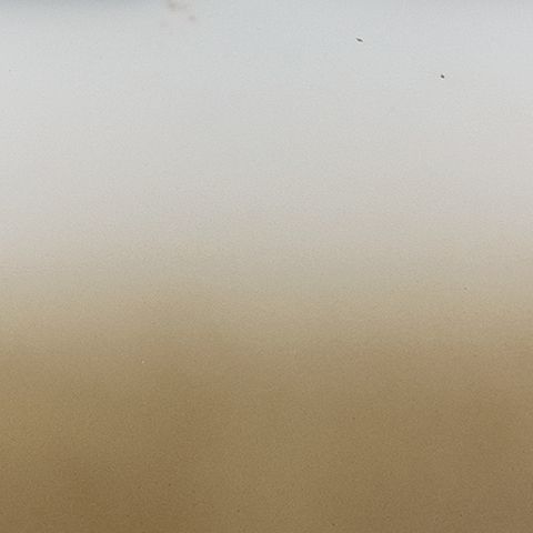 Acario - Jar - Simple Home Plus