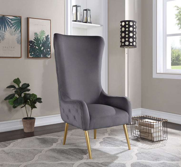 Alexander - Accent Chair - Simple Home Plus