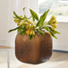 Capard - Vase - Simple Home Plus