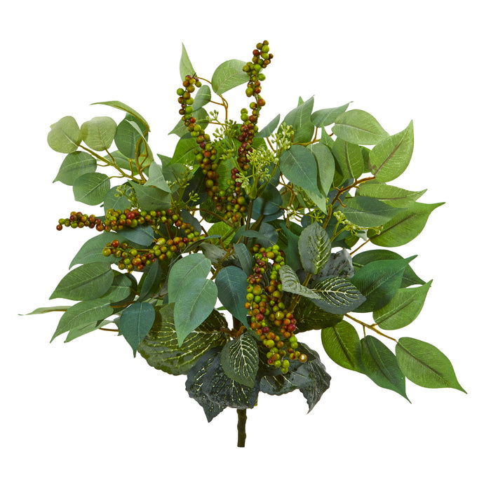 14" Mixed Ficus Fittonia and Berries Bush (Set of 6)