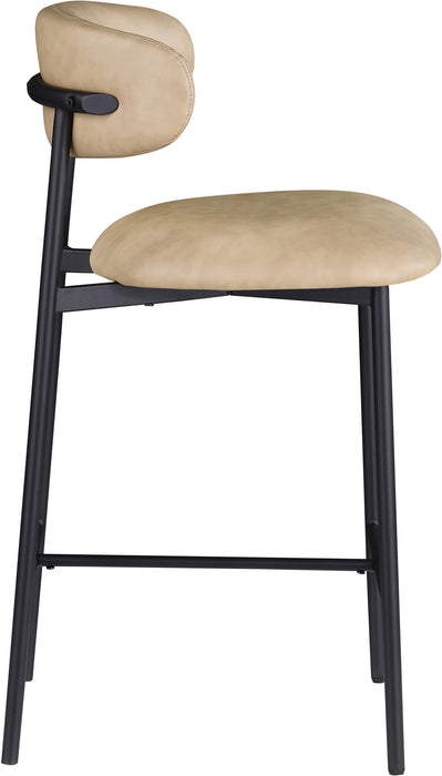 Lupita - Counter Stool (Set of 2) - Simple Home Plus