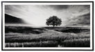 Deborland - Black / White - Wall Art - Simple Home Plus