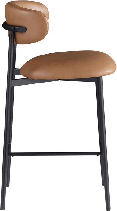 Lupita - Counter Stool (Set of 2) - Simple Home Plus