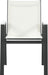 Nizuc - Outdoor Patio Dining Arm Chair With Gray Frame (Set of 2) - Simple Home Plus
