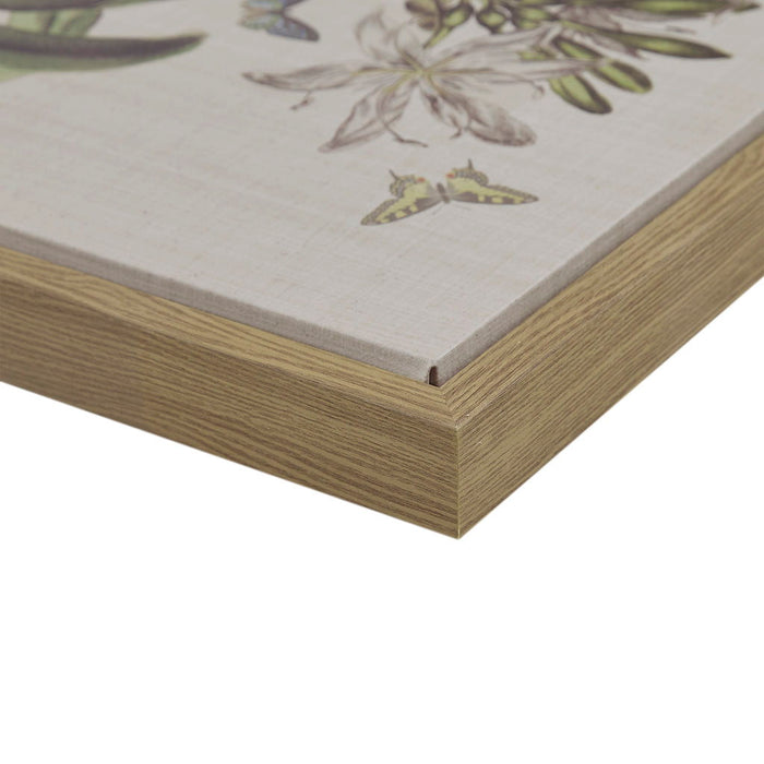 Herbal Botany - Framed Linen Canvas (Set of 4) - Green - Simple Home Plus