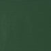 Emilia - Twist Tab Lined Window Curtain Panel - Green - Simple Home Plus