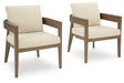 Serene Bay - Dark Brown / White - Arm Chair With Cushion (Set of 2) - Simple Home Plus