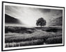 Deborland - Black / White - Wall Art - Simple Home Plus