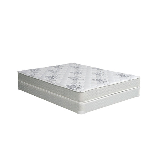Elbertyna - Tight Top Mattress - Simple Home Plus