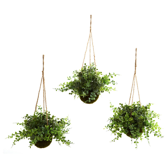 Eucalyptus Maiden Hair & Berry Hanging Basket (Set of 3)