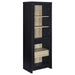 Denison - 67" 2-Door Media Tower Storage Cabinet - Black - Simple Home Plus