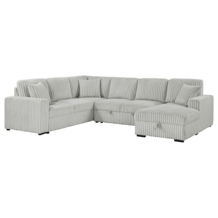 Devonshire - Sleeper Sectional Sofa Storage Chaise - Simple Home Plus