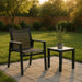 Nizuc - Outdoor Patio Dining Arm Chair With Gray Frame (Set of 2) - Simple Home Plus
