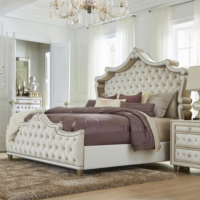 Antonella - Upholstered Panel Bed - Simple Home Plus
