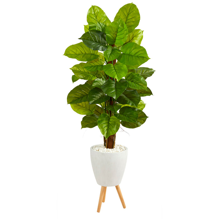 60" Philodendron Plant in Planter with Stand (Real Touch)
