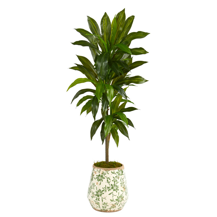 4' Dracaena Plant in Flower Print Planter (Real Touch)