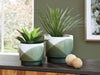 Ardenridge - Green / White - Planter Set (Set of 2) - Simple Home Plus