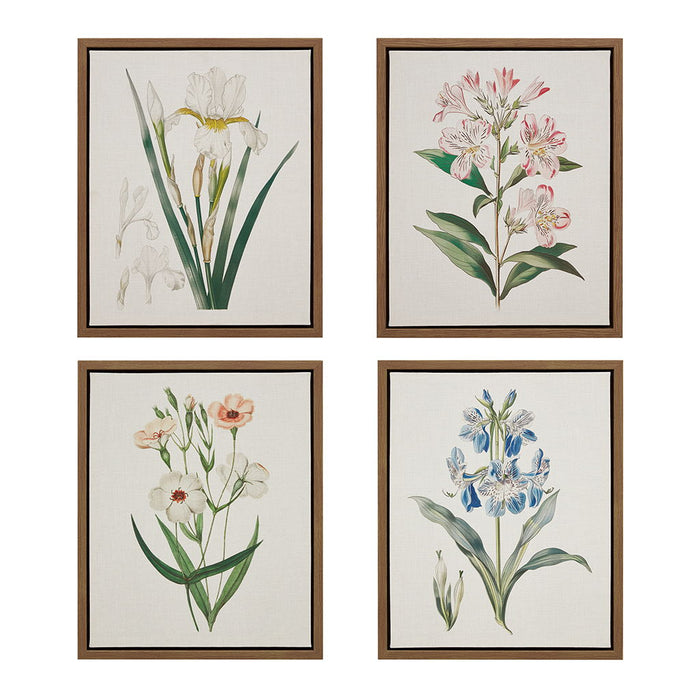 Herbal Botany - Herbal Botany 4-Piece Botanical Illustration Framed Canvas Wall Art Set - Green - Simple Home Plus