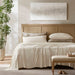 Queen Stretch Jersey Sheet Set - Ivory - Simple Home Plus