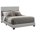 Dorian - Upholstered Panel Bed - Simple Home Plus