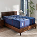 Posturepedic Elite - Brenham II Tight Top Ultra Firm Mattress - Simple Home Plus