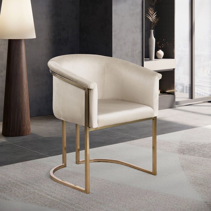 Tierra - Dining Chair - Simple Home Plus