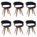 Summer - Modern Chair - Walnut Wood - Simple Home Plus