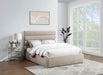 Adam - Chenille Fabric Bed With 52" Headboard - Simple Home Plus