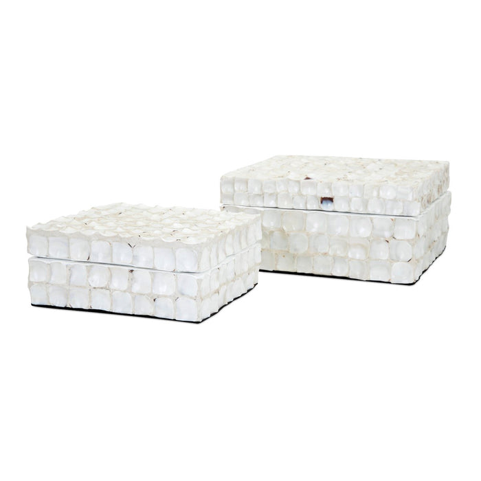 Barbuda Shell Boxes set 2