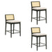 Tobias - Coastal Modern Wood Counter Height Kitchen Bar Stool - Simple Home Plus