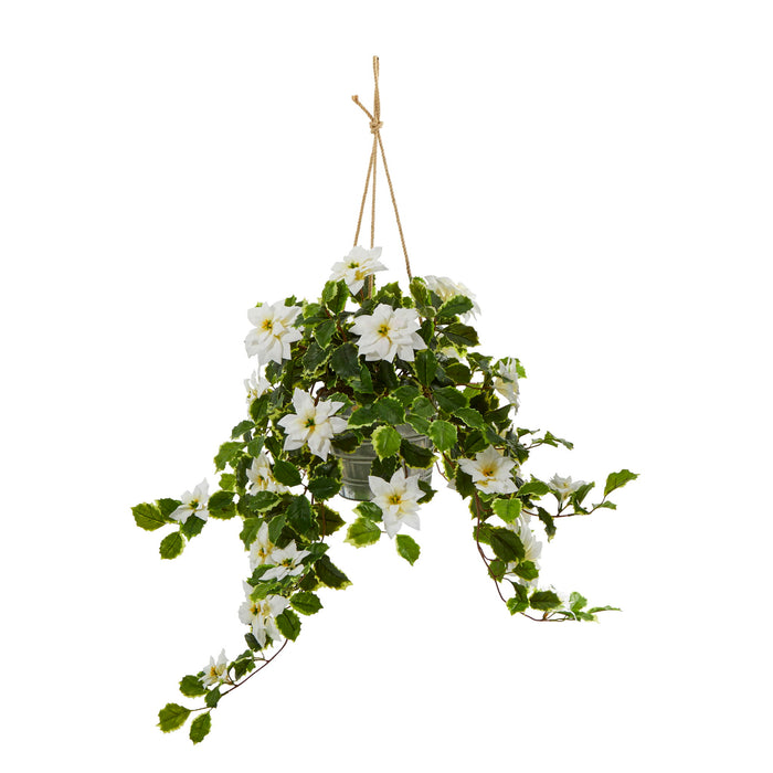 3.5' Poinsettia Holly Plant in Hanging Bucket (Real Touch)